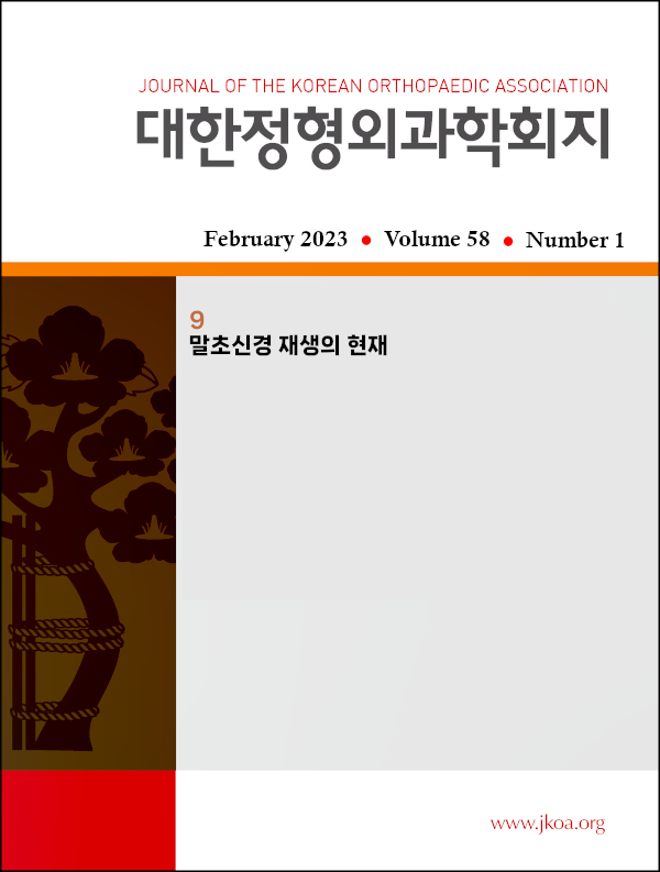 JKOA 2023;58(1):9-17 말초신경 재생의 현재